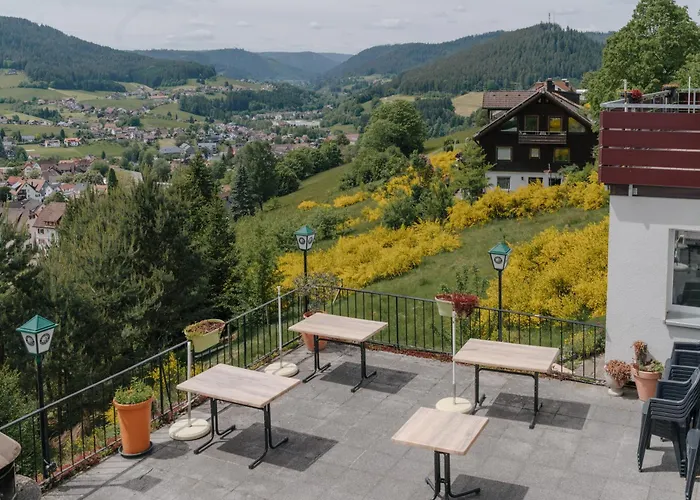 Talblick - Schwarzwald Plus Karte Inkludiert
